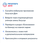 Голосование в электронном виде в ГосУслуги Дом инструкция